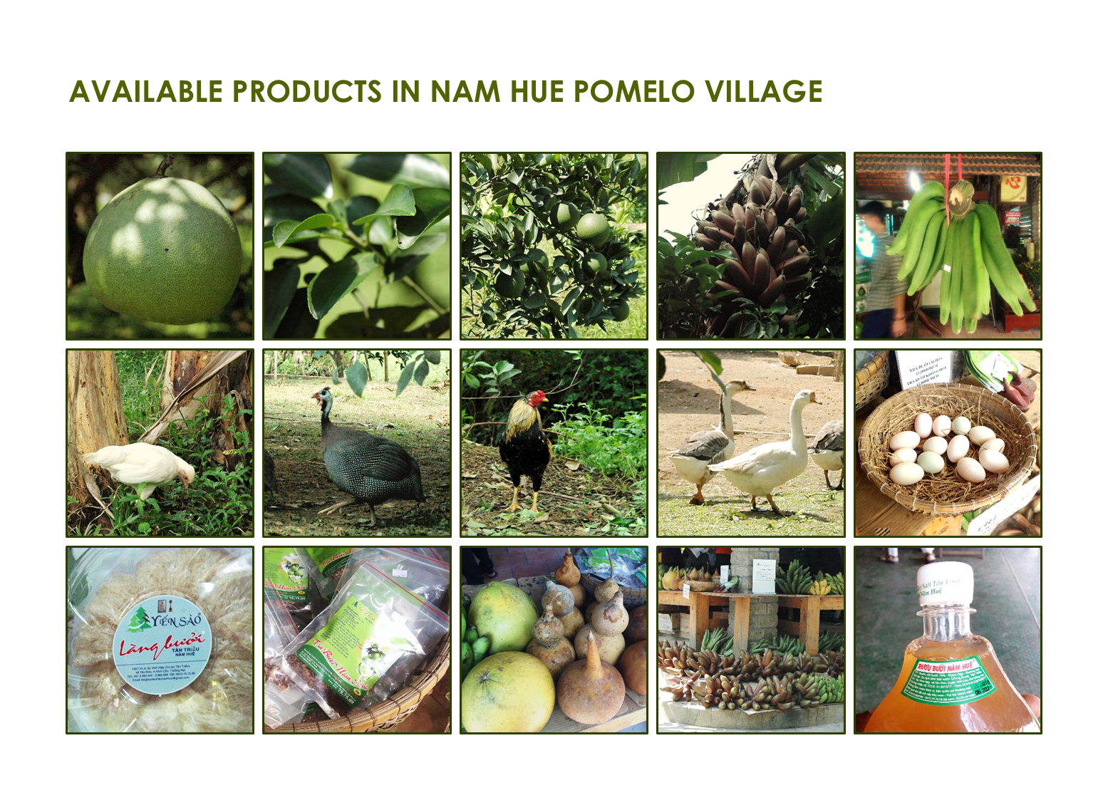 Products at Tan Trieu